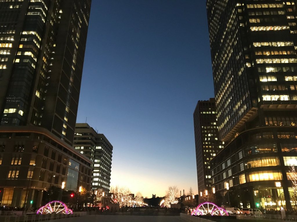 Gyoko-dori avenue near Tokyo Station at dusk in winter, with illuminated trees between office towers