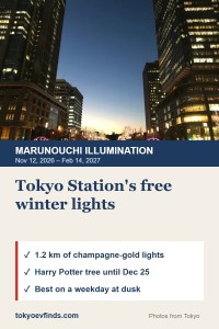 Marunouchi Illumination 2026 near Tokyo Station: dates and tips